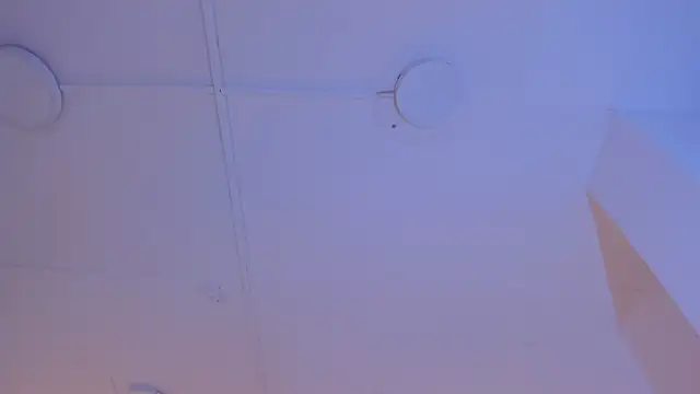 TokyoHaskel online show from 05/15/26, 04:10