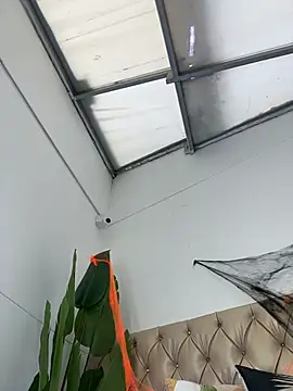 TweetiePieXXX online show from 10/31/25, 10:05