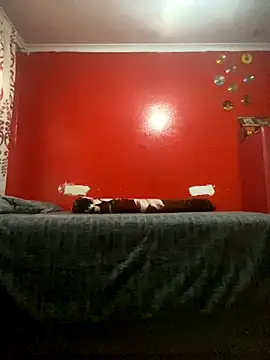 BaggyDirt online show from 11/29/25, 03:34