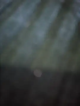 VesperVelvet online show from 03/28/26, 03:51