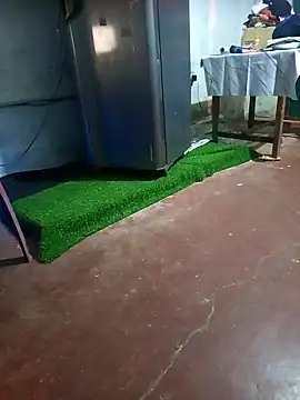 BabyHansi online show from 03/29/26, 05:03