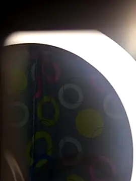 BabyHansi online show from 04/20/26, 03:35