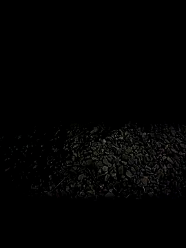 steelwoodVids online show from 11/19/25, 01:49