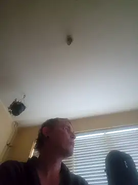 piercingpik online show from 04/19/26, 06:21