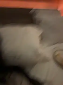 Ofcourseoneday online show from 03/08/26, 01:36