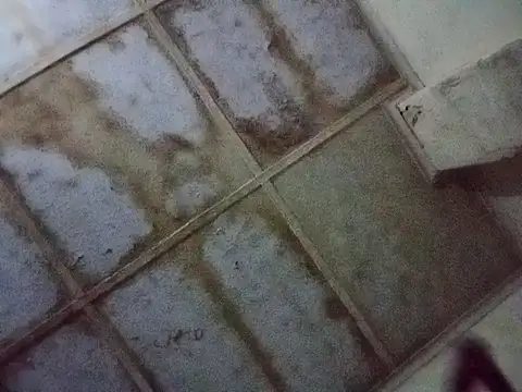 RFeltomWhitJ online show from 11/17/25, 01:09