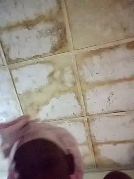 RFeltomWhitJ online show from 11/18/25, 11:15