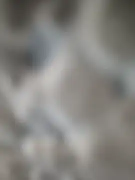 Exoticovergon online show from 11/13/25, 01:31