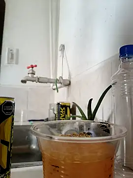 Exoticovergon online show from 11/06/25, 07:51