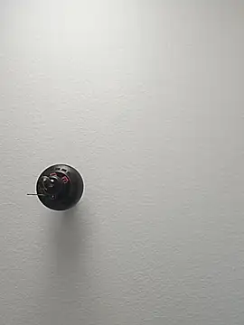 Kaalum561 online show from 11/26/25, 01:00