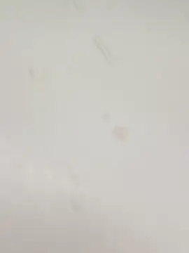 guridosul051 online show from 01/12/26, 02:35