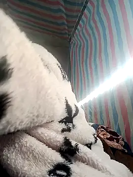 Snapshot of jienrrr chatting on 11/26/25, 01:49 jienrrr online show from 11/26/25, 01:49