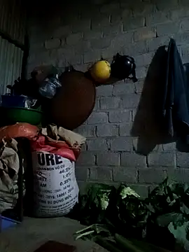 jienrrr online show from 02/24/26, 11:33