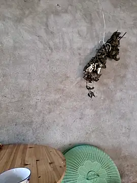 yoowwmr online show from 11/23/25, 12:53