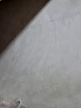 yoowwmr online show from 10/25/25, 01:12