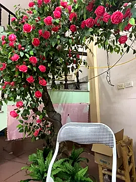 Snapshot of Bollozzy_89 chatting on 09/29/25, 04:23 Bollozzy 89 online show from 09/29/25, 04:23