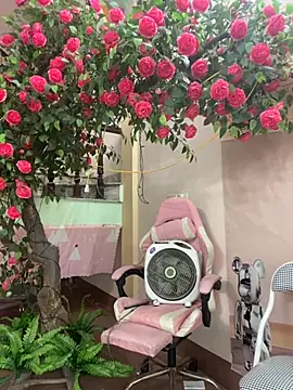 Snapshot of Bollozzy_89 chatting on 10/06/25, 04:13 Bollozzy 89 online show from 10/06/25, 04:13