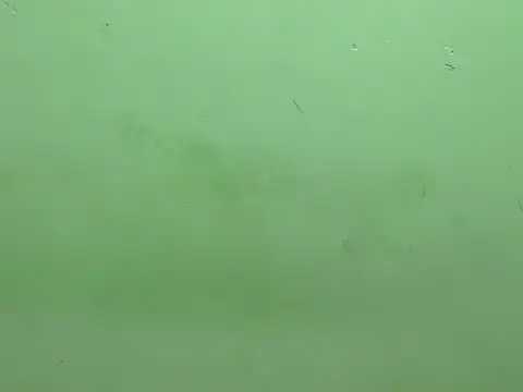 rockyy23boy online show from 10/15/25, 10:23