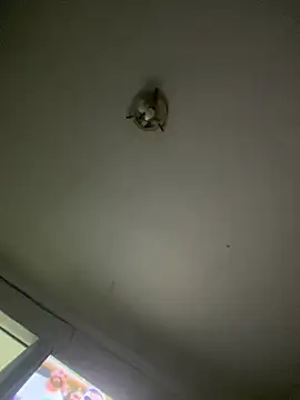 Isabelaa  online show from 03/28/26, 03:29