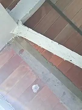 Cataleya ja online show from 02/24/26, 12:39