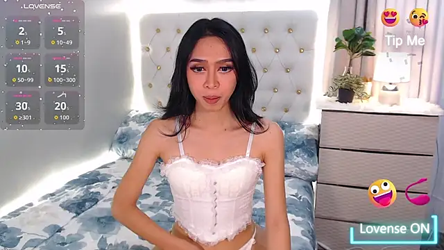 Snapshot of megumishemale_x chatting on 11/14/25, 03:59 megumishemale x online show from 11/14/25, 03:59