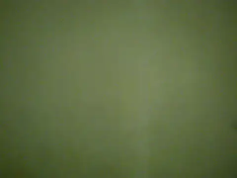 asian kalaay online show from 11/03/25, 04:43