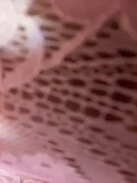 Luna 20x online show from 03/31/26, 06:43