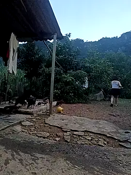 SexyQueen99 online show from 10/06/25, 10:43