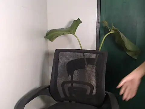 Natsboii online show from 01/11/26, 08:32