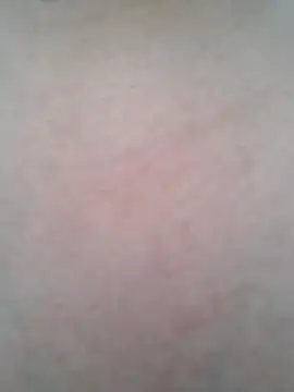 BigBoobs186 online show from 10/20/25, 01:29