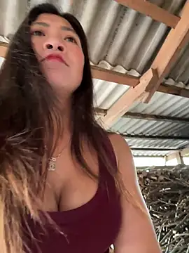 ThiHa003 online show from 02/07/26, 03:47