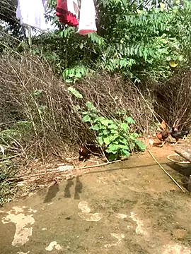 ThiHa003 online show from 11/10/25, 04:28