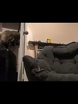 Cnutt310 online show from 12/14/25, 03:50