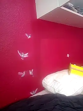 Cnutt310 online show from 10/22/25, 08:41