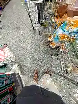 jeff pepoer online show from 02/14/26, 11:54