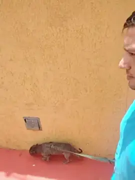 jeff pepoer online show from 01/07/26, 03:39