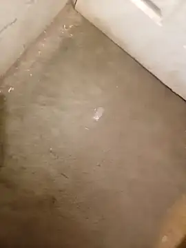 owiwiwkejkd online show from 04/21/26, 11:44