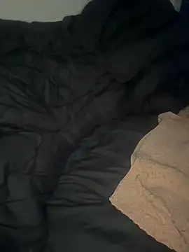 meme n online show from 02/16/26, 05:17