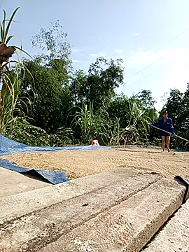 Ocnguyety online show from 10/29/25, 02:21