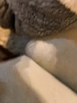 boy8540 online show from 01/19/26, 05:44