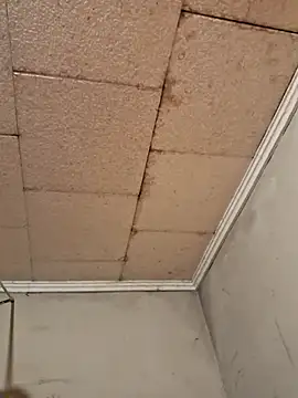 Tudiablita21 online show from 03/10/26, 09:35