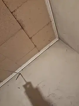 Tudiablita21 online show from 04/06/26, 07:53