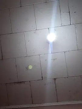 Tudiablita21 online show from 11/05/25, 08:45