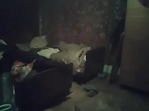 Snapshot of A1B3- chatting on 02/02/26, 03:55 A1B3- online show from 02/02/26, 03:55