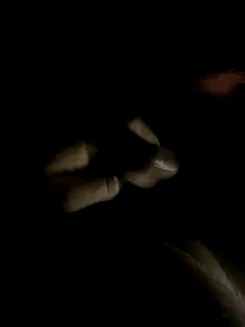 ersoy12 online show from 10/14/25, 11:58