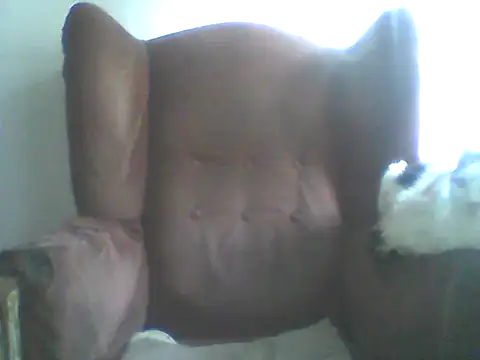 Bebita-zmp online show from 04/02/26, 09:32
