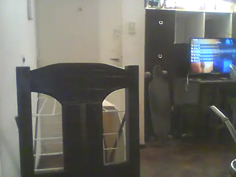 Bebita-zmp online show from 07/05/26, 01:43