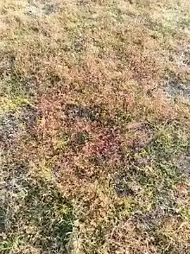 coocon2020 online show from 11/16/25, 02:38