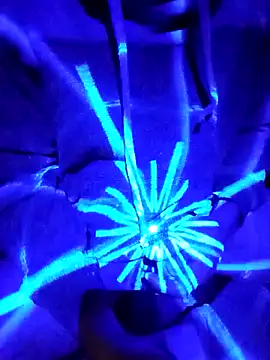 Snapshot of Oaxhot chatting on 10/30/25, 07:06 Oaxhot online show from 10/30/25, 07:06