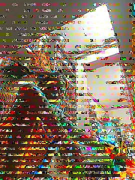 ISHANI-SINGH online show from 11/29/25, 02:55